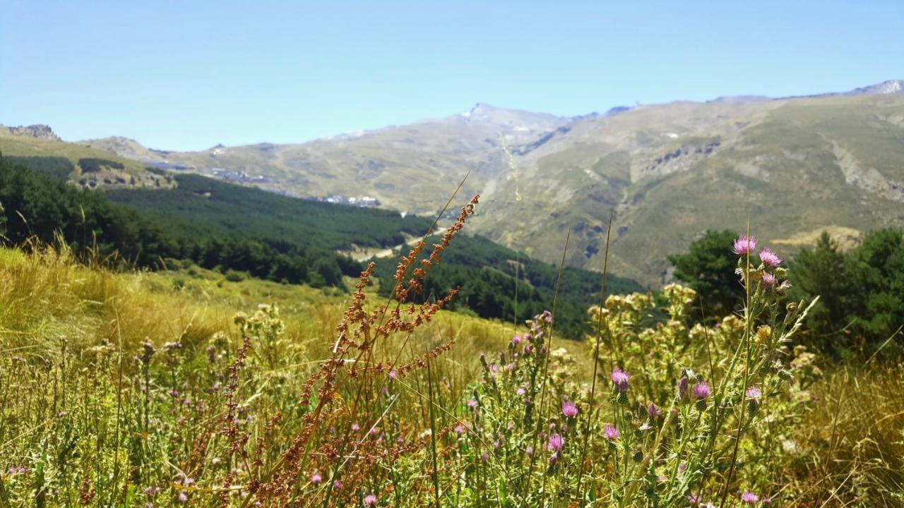 Dúplex acogedor con vistas y Garaje incluído Sierra Nevada Exterior foto