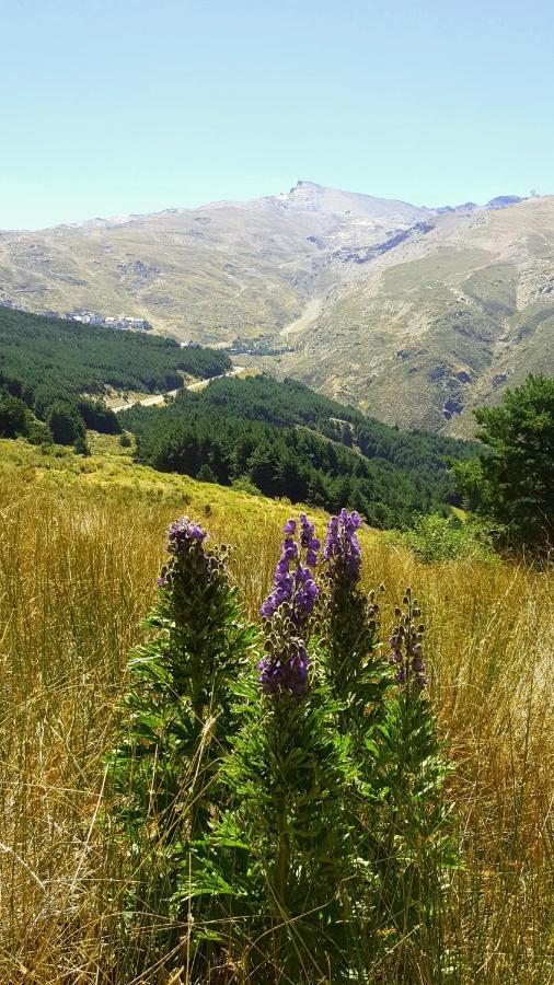 Dúplex acogedor con vistas y Garaje incluído Sierra Nevada Exterior foto